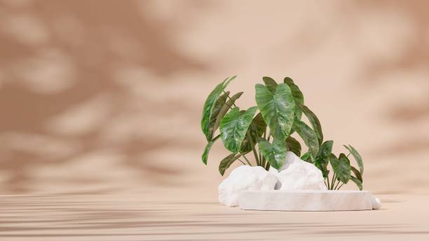 istock 3D illustration of a showcase decorated with flowers with copy space 1459306981