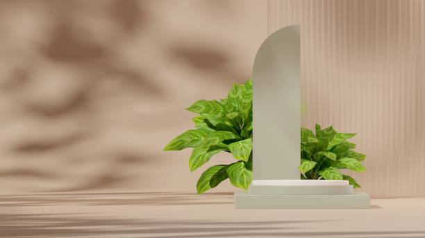 istock 3D illustration of a showcase decorated with flowers with copy space 1459307029