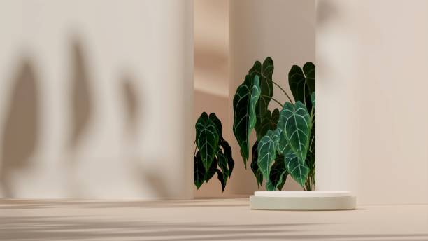 istock 3D illustration of a showcase decorated with flowers with copy space 1459307032
