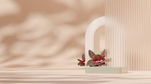 istock 3D illustration of a showcase decorated with flowers with copy space 1459307085