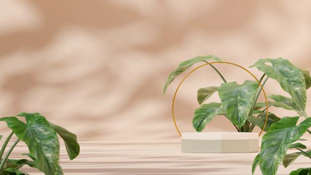 istock 3D illustration of a showcase decorated with flowers with copy space 1459307148