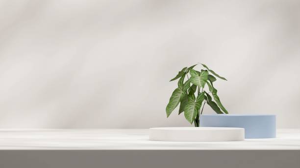 istock 3D illustration of a showcase decorated with leaves with copy space 1459307161
