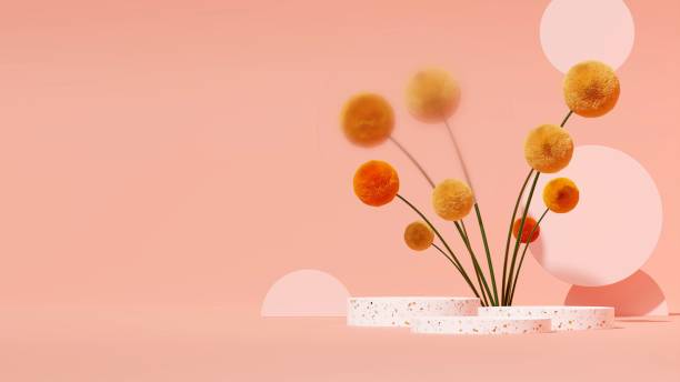istock Podium display with a Craspedia plant on a pink background. 1459307191