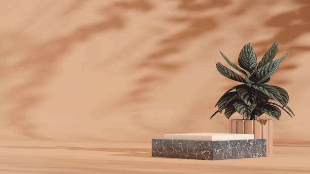 istock Podium display with pin-stripe calathea plant on a solid beige background. 1459307230