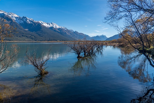 A mesmerizing shot of a calm lake with dry bushes, the mountains in the background with their reflection in water