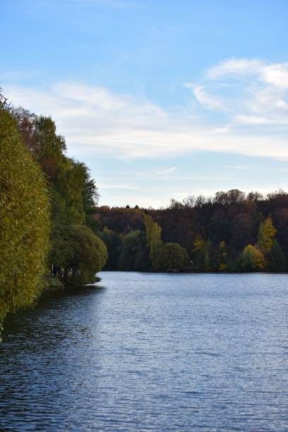 istock Vertical shot of a lake surrounded by green trees under a cloudy blue sky 1459307771