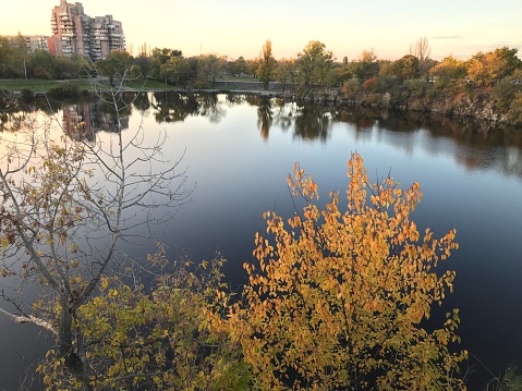 Autumn colors in the park in Ukraine