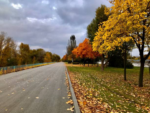 istock Autumn colors in the park 1459308134