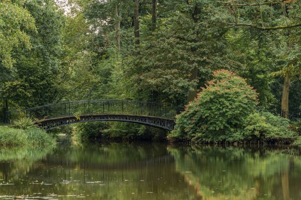 istock Beautiful bridge in a mystical green forest 1459308235