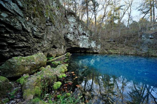 istock Round Spring in Southern Missouri in the weathered forest 1459308408