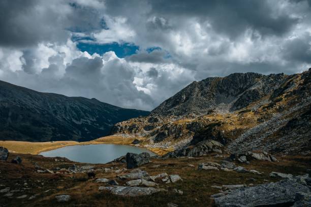 istock Small river surrounded by rocky mountains covered with green grass in summer 1459308677