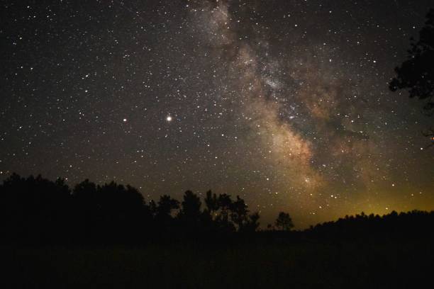 istock Beautiful galaxy night sky over a forest silhouette 1459309470