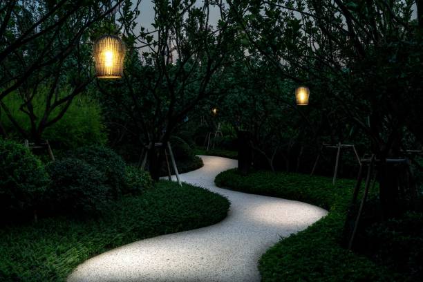 istock vintage lamps illuminated  footpath in the tranquil park at nigh 1459309607