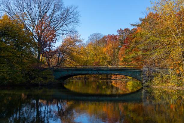istock Old bridge over a river with autumn trees and reflection in the water 1459309789