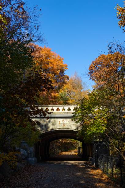 istock Vertical shot of a bridge between the autumn colored trees 1459309803