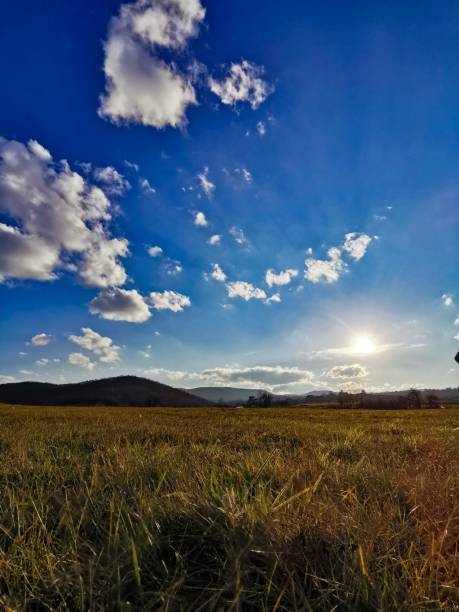 istock Vertical shot of a grassy field under a blue cloudy sky on a sunny day 1459310232