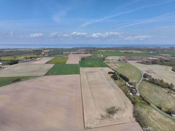 istock Aerial view of fields under the sunlight 1459310498