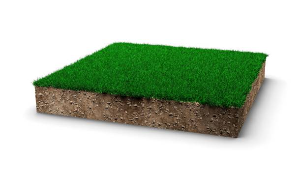 istock 3D rendering of a square of green grass field isolated on white background 1459312021