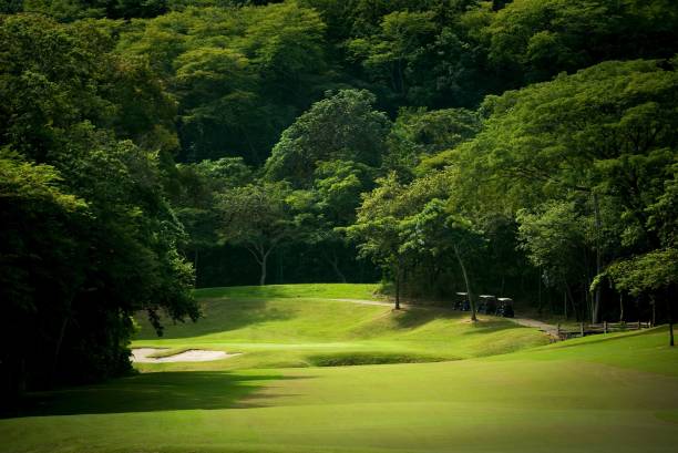 istock Forested golf fairway at a tropical resort 1459312322