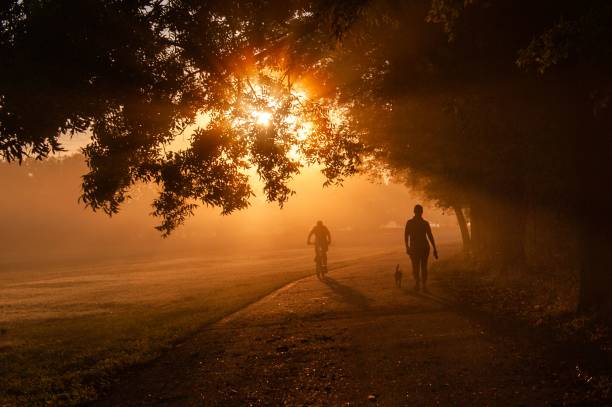 istock Road with people running and riding bikes in a park during sunset 1459312364