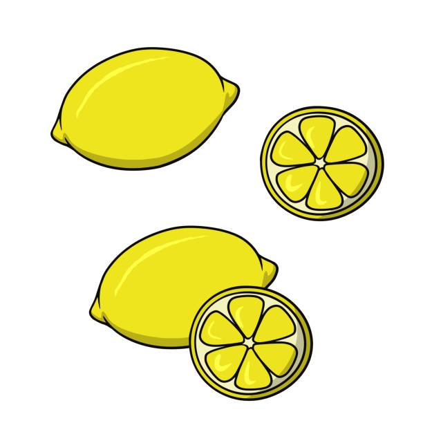 zestaw żółtych cytryn z plasterkami, kreskówka wektorowa - lemon isolated clipping path white background stock illustrations