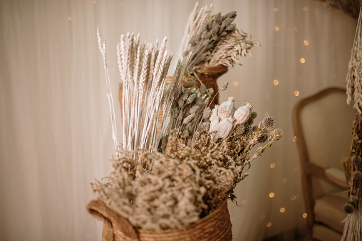 Dry pampas grass on a beige background in a vase.  Modern dry flower  decor.