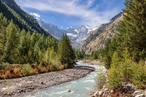 istock Stormy Alpine mountain water stream runs along gorge rapids, covered with evergreen pine forest in Gran Paradiso National Park, framed by steep slopes, Aosta, Italy 1459314585
