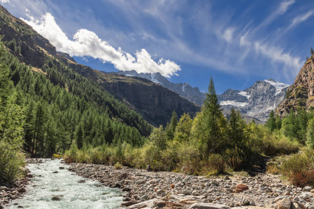 istock Foaming water stream rushes along channel lined with pebbles in gorge with pine forests in Gran Paradiso National Park, surrounded by high mountain granite massifs. Aosta valley, Italy 1459314588