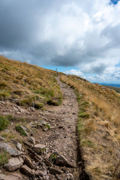 istock Path over the Hohneck mountain summit during a beautiful summer day 1459315054
