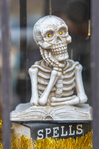 Funny skeleton portrait Halloween decor