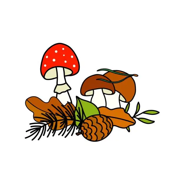 Vector illustration of Autumn composition with mushrooms, leaves, cone.Vector hand drawn illustration.