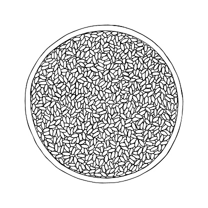 Rice. Cereal grain in plate, bowl. Hand drawn vector sketch illustration.