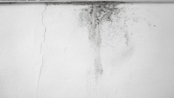 inundando a água da chuva ou sistemas de aquecimento do assoalho, causando dano, descascando a pintura e o mildew. - plasterboard ceiling plaster molding - fotografias e filmes do acervo