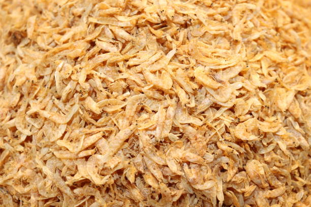 istock Symbet of shrimp in a market 1459322425