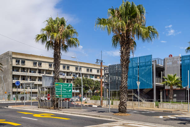 Cape Town, South Africa - December 9th 2022: Residential and parking buildings with two palm trees in front close to the Victoria and Alfred waterfront