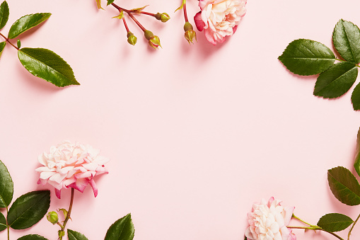 Composición de flores. Marco hecho por rosas, ramas y pétalos sobre fondo rosa. Vista superior plana con espacio de copia en el centro photo