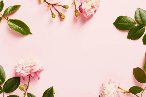 Photo of Flowers composition. Frame made by roses, branches and petals on pink background. Flat lay top view with copy space in the center