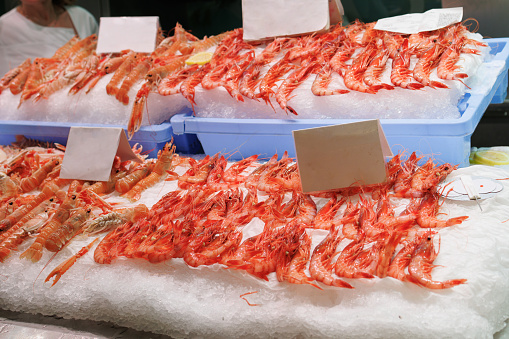 Fresh Shellfish, freshly caught Shrimp and Langoustines displayed on ice above a Market Stall.