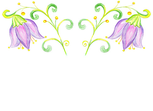 Flower bluebell drawing on paper.Floral template