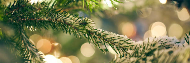 istock Christmas tree covered snow with yellow garlands lights and bokeh copy space with sparkled bokeh 1459333280
