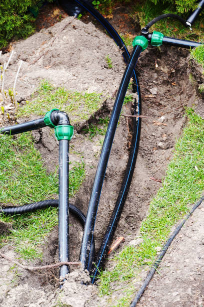 istock Arranging installing and fixing of Irrigation drip system in the garden. 1459333528