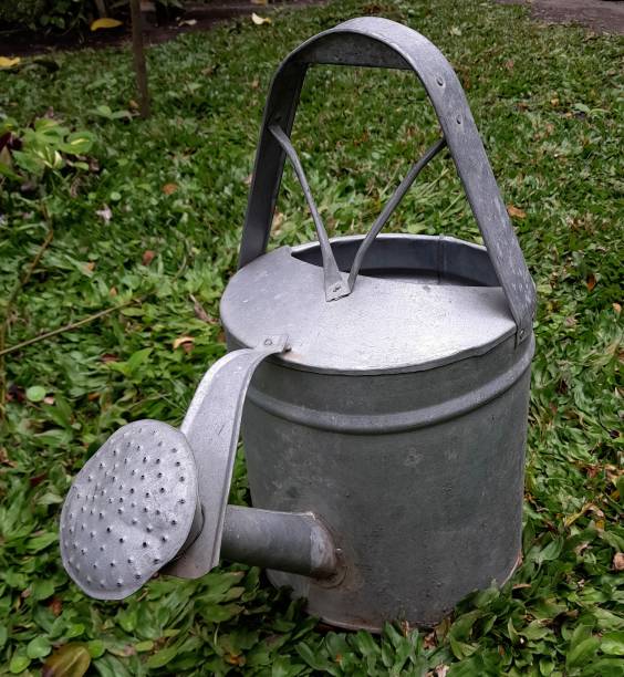 Garden watering can on grass Garden watering can on grass watering pail stock pictures, royalty-free photos & images