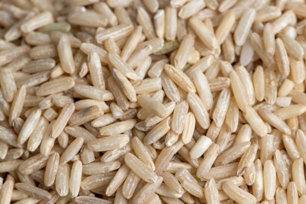 istock Unprocessed healthy dark rice, close up 1459335047