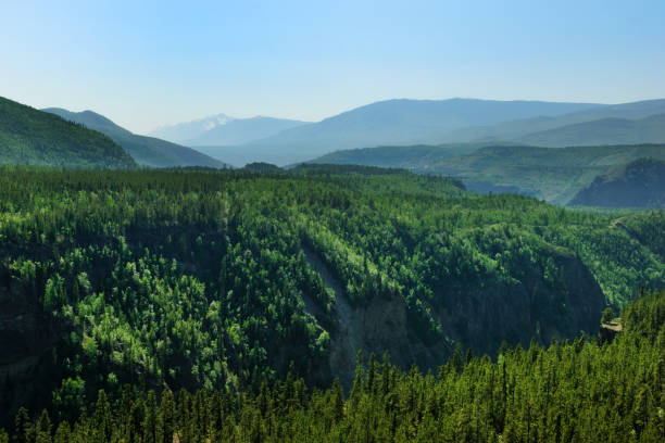 Hills of Stikine River Provincial Park near Telegraph Creek in northern British Columbia, Canada