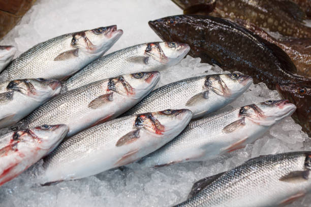 Fish on the ice for sale
