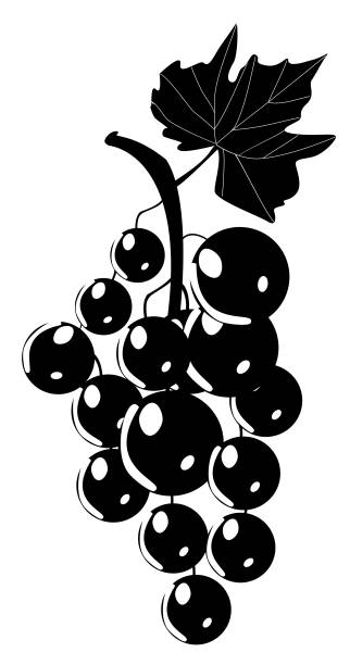 ilustrações de stock, clip art, desenhos animados e ícones de grapes silhouette - grape bunch fruit stem