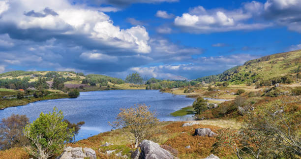 istock Lough Looscaunagh lake, Ireland 1459345158