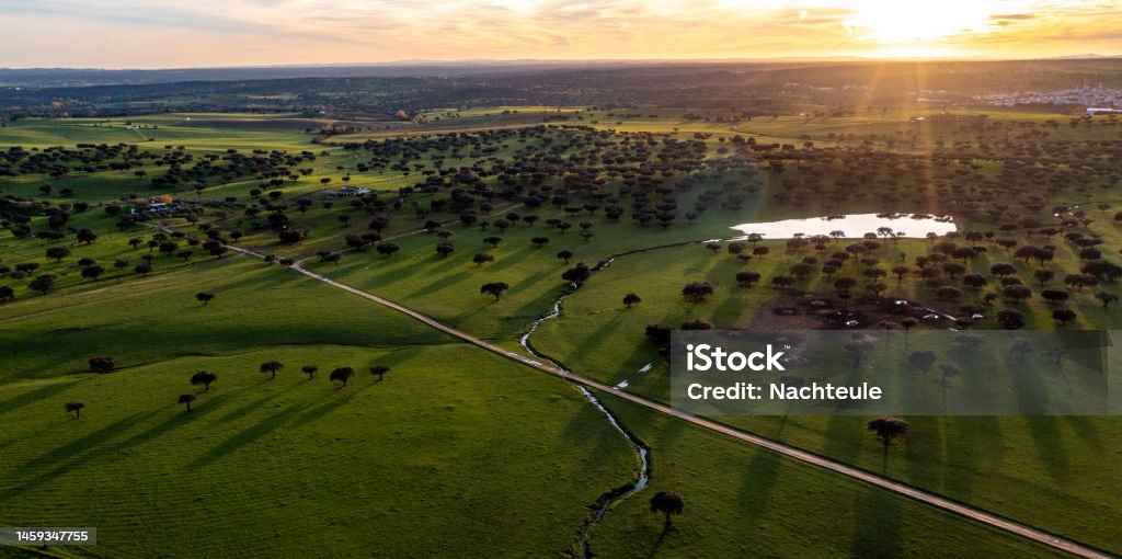 drone view of industrial agriculture landscape in Portugal Alentejo Aerial view of the countryside of the Alentejos Farm Ranches Plantation Stock Photo