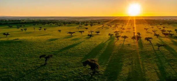 Aerial view of the countryside of the Alentejos Farm Ranches at Sunset