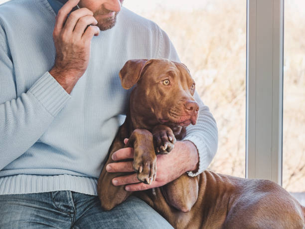 istock Handsome man and a charming puppy. Closeup 1459349028